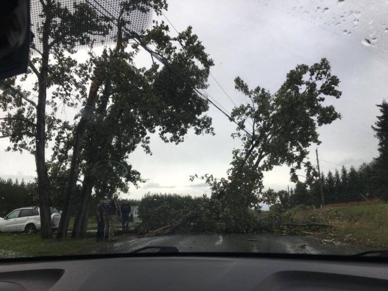 Les forts vents causent des dommages en Abitibi-Témiscamingue