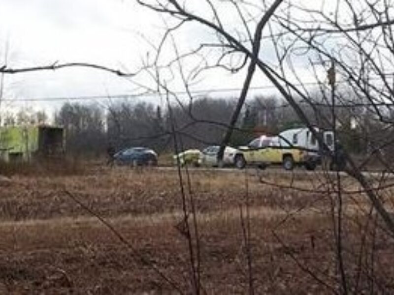 Un homme meurt coincé sous un arbre