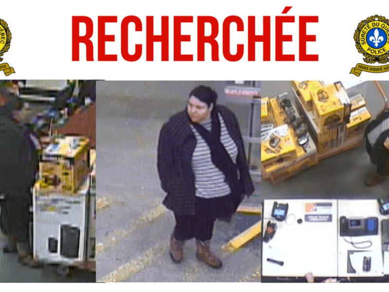 Recherchée pour fraude