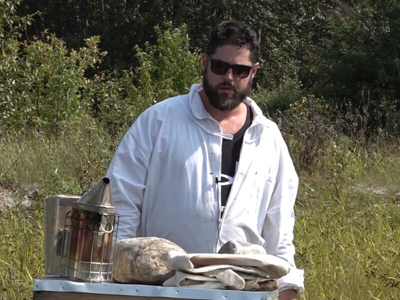 De l’Apiculture au Pop Jardin de Senneterre