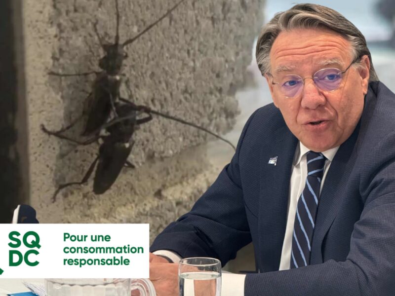 Revue de l'actualité régionale en 10 nouvelles marquantes