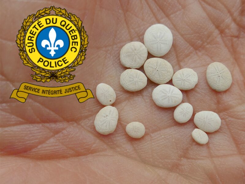 Perquisition de stupéfiants à La Sarre : un homme de 29 ans arrêté