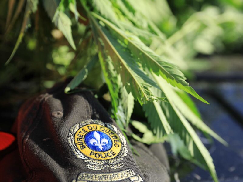 SENNETERRE : Importante opération antidrogue menée par la Sûreté du Québec