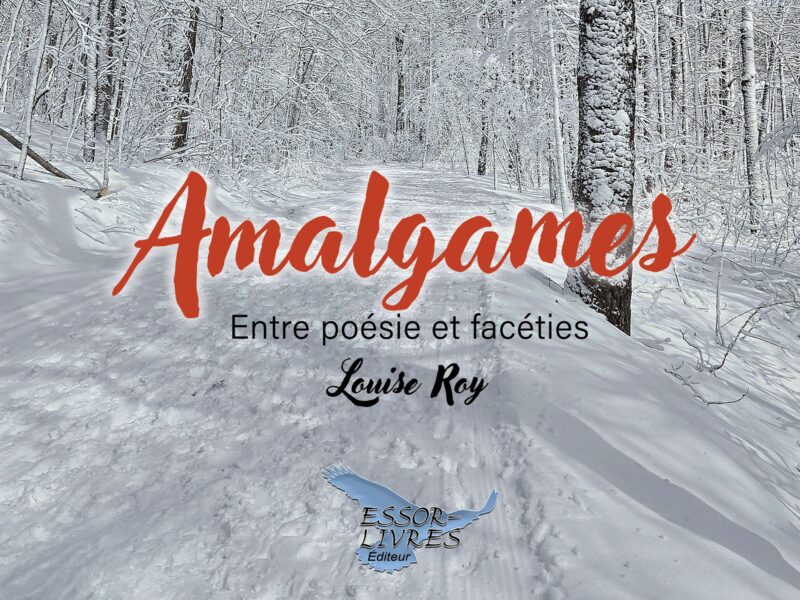 Louise Roy lance son nouveau recueil Amalgames