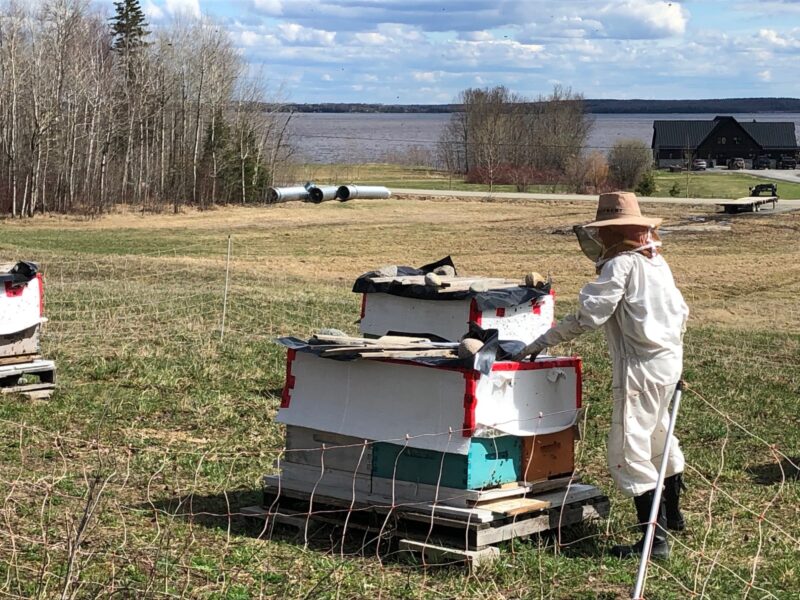 La Cuverie fait du vin de miel sur l’Île Nepawa
