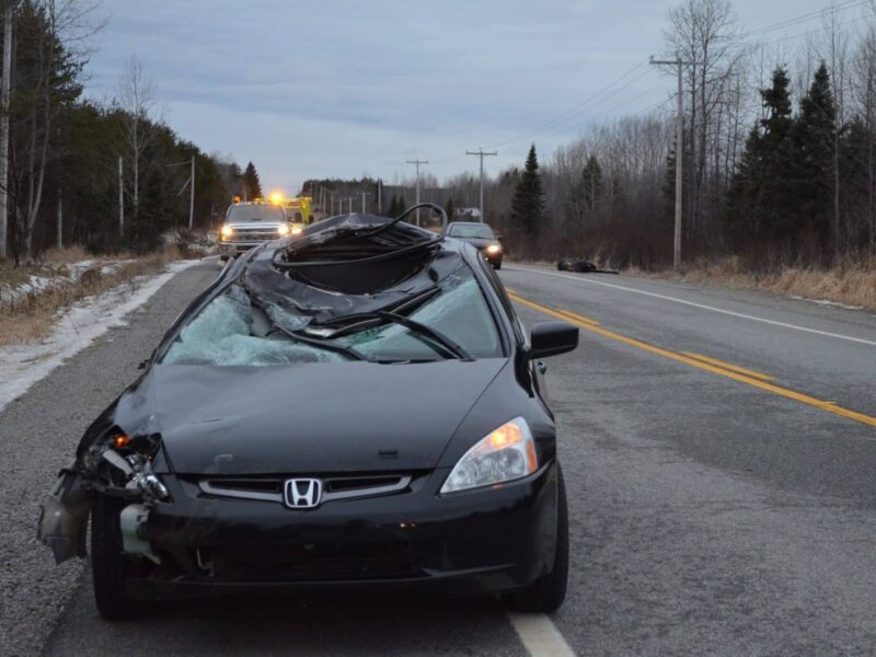 Collision avec un orignal près de Launay