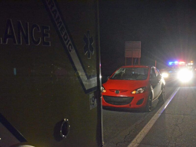 Collision avec un orignal sur la route 109