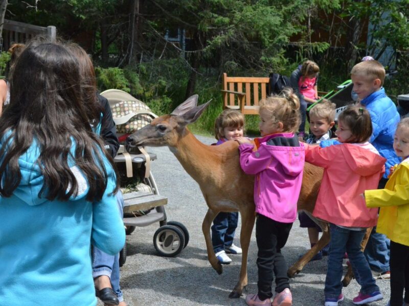 Fort achalandage au Refuge Pageau pour le 30e