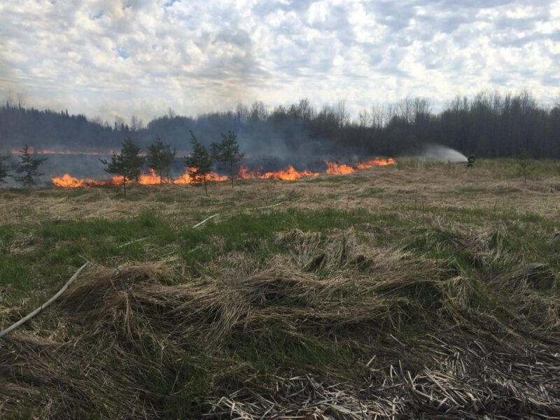 Incendie de broussailles à Berry