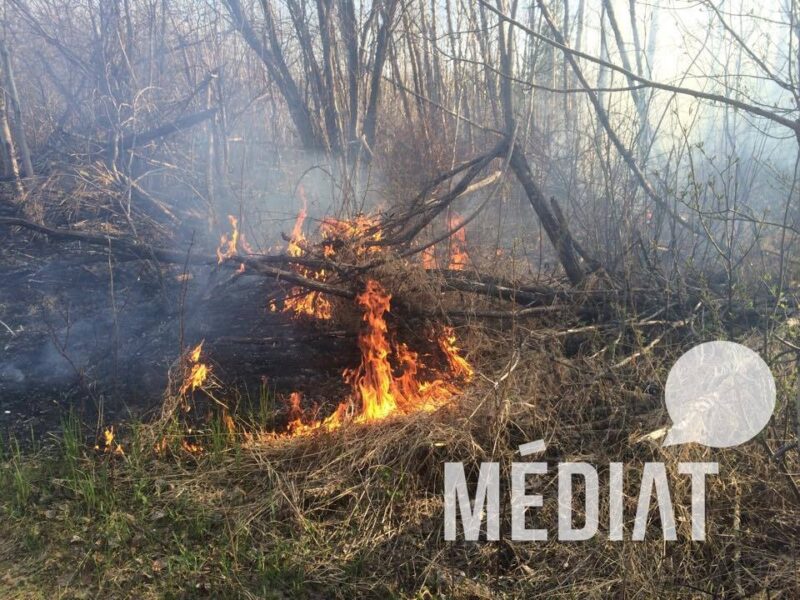 Incendie de broussailles à St-Mathieu-d’Harricana