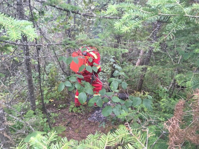 Intervention des pompiers en forêt à Amos