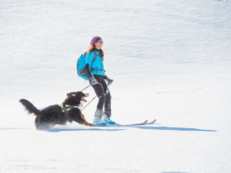 La Forêt récréative de Val-d’Or lance sa saison hivernale