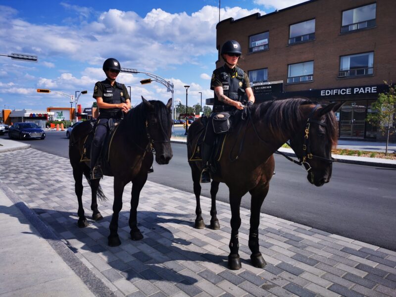 Une patrouille de la SQ hors du commun